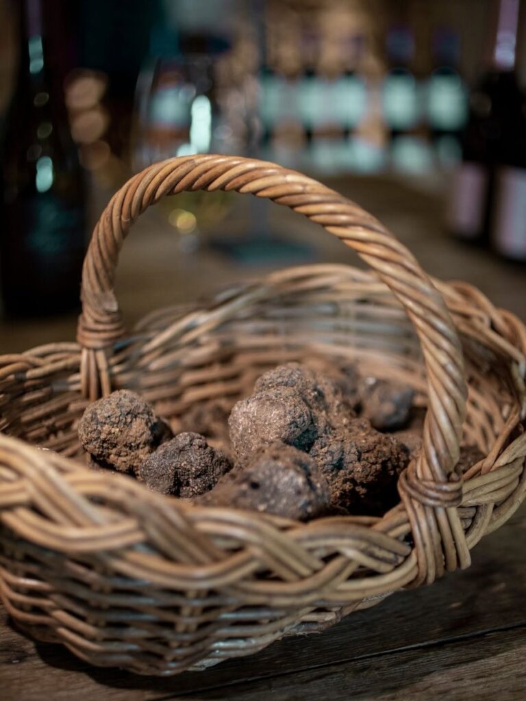 Black truffles in a basket at a traditional market in the Lot Valley, France