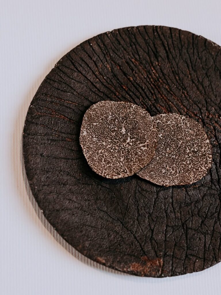 Thin slices of black truffle arranged on a black plate, ready to be served as part of a gourmet dining experience in southwest France
